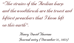 The strains of the Aeolian Harp 

and the woodthrush are the truest and loftiest preachers that I know left on this earth.